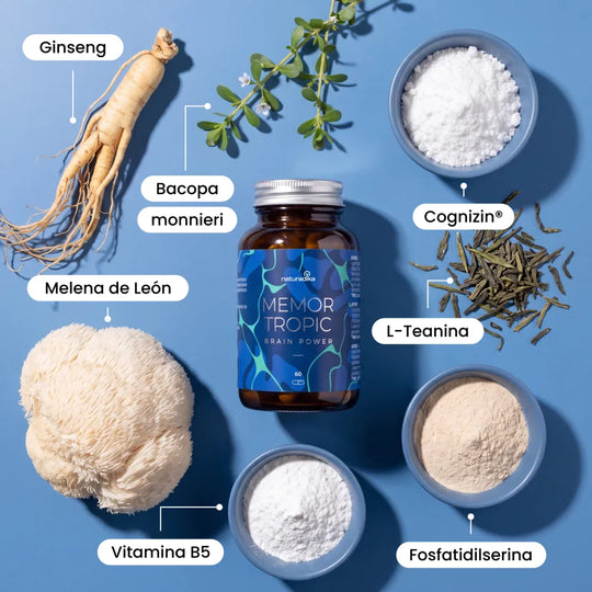 Ingredientes naturales de Memor Tropic: ginseng, bacopa monnieri, melena de león y L-teanina