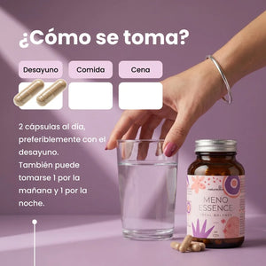 Meno Essence