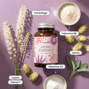Meno Essence