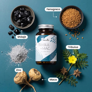 Ingredientes naturales de Viboost Tribulus + Maca: shilajit, fenogreco, tribulus, maca y zinc